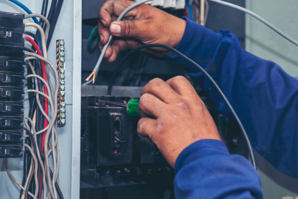 Best Local Electrician Companies  in Springville, AL